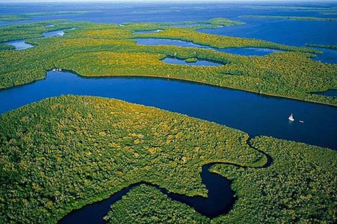 private-4-hour-exciting-everglades-tour