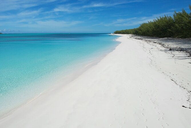 private-4-hour-rose-island-charter-snorkeling-turtles-beaching