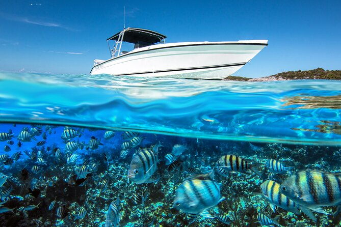 private-4-hour-rose-island-charter-snorkeling-turtles-beaching