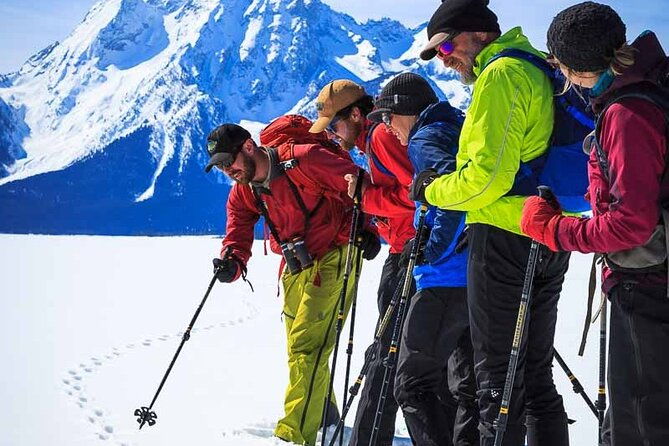 private-4-hour-snowshoe-in-grand-teton-national-park