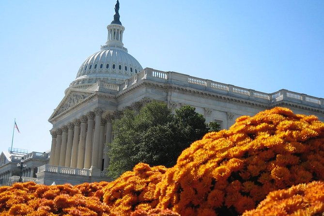 private-4-hour-walking-tour-in-washington-with-official-tour-guide