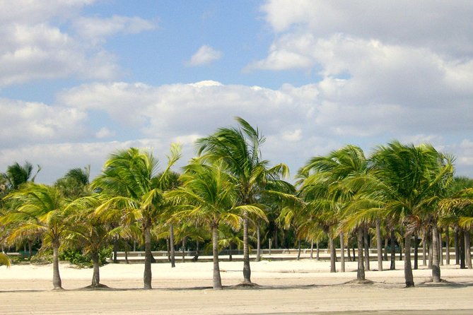 private-4-hours-city-tour-of-miami-from-miami-airport-with-private-driver-guide