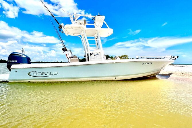 private-4-hr-eco-tour-shelling-and-fishing-marco-island-fl