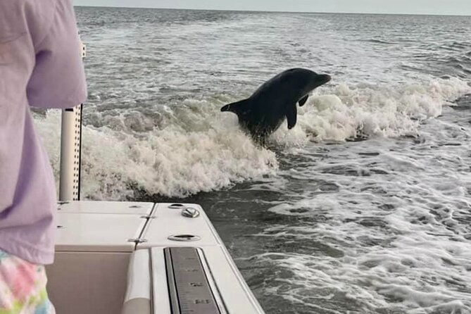 private-4-hr-eco-tour-shelling-and-fishing-marco-island-fl