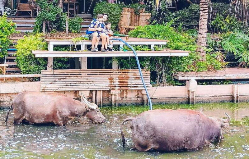 private-4-ig-cafe-tour-in-nakhon-pathom-from-bangkok