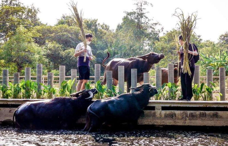 private-4-ig-cafe-tour-in-nakhon-pathom-from-bangkok