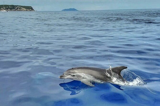 private-4-islands-tour-golden-horn-hvar-pakleni-islands-solta