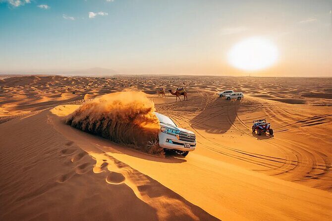 Private 4Hours Red Dunes Safari Camel Ride ,Falcon & Dune Thrills - An In-Depth Look at the Experience