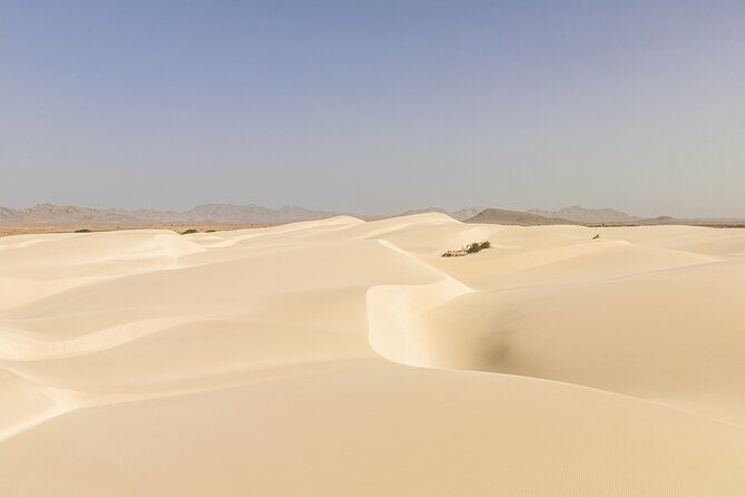 Private 4WD Tour Sun and Fun in Boa Vista - The Sum Up