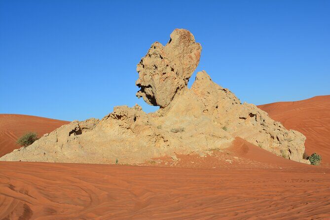 Private 4x4 Desert Drive, Wadi Shawaka Pool Visit with Lunch box - Final Thoughts