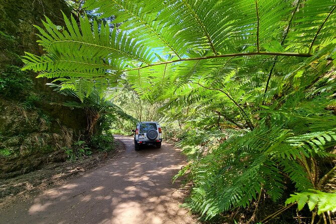 private-4x4-jeep-full-day-porto-moniz-or-santana