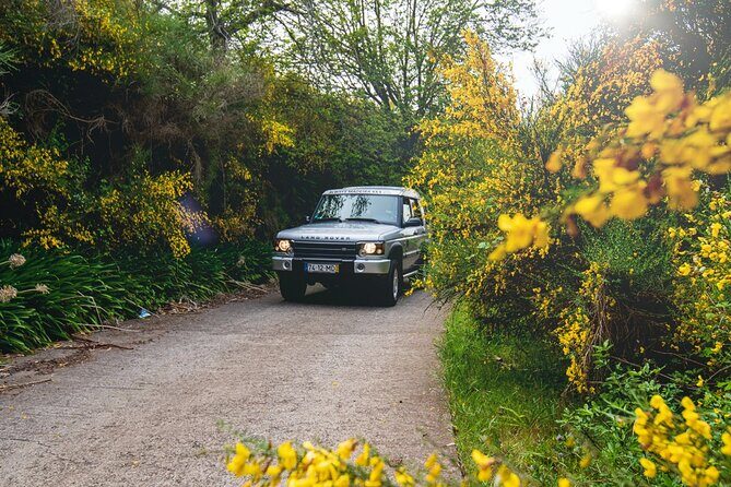 Private 4x4 Jeep Half Day - Picturesque Peaks, Vineyards, Skywalk - Key Points