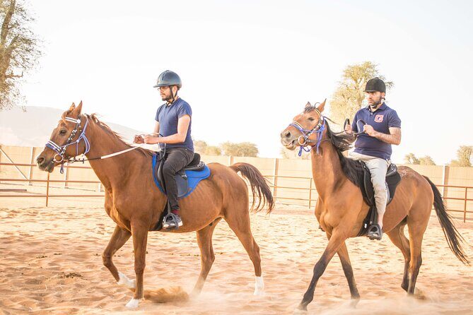 Private 4x4 Mleiha Desert Safari Horse Riding with Museum Visit - Key Points
