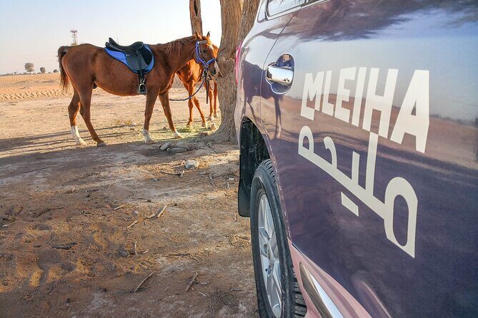Private 4x4 Mleiha Desert Safari Horse Riding with Museum Visit - Introduction to the Desert Experience: What’s on Offer?