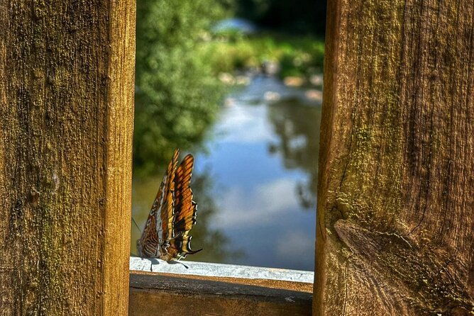 private-4x4-mountain-tour