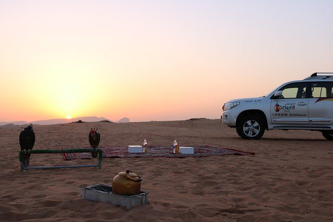 Private 4x4 Sunrise and Wildlife Experience in the Desert - Final Thoughts