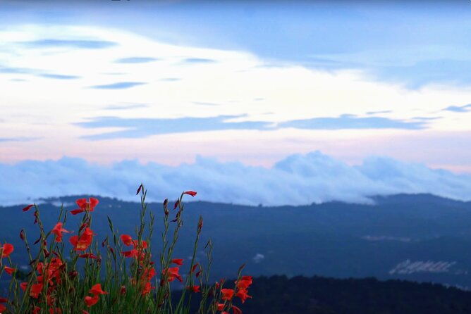 private-4x4-tour-with-view-of-san-salvador-from-the-former-cable-car