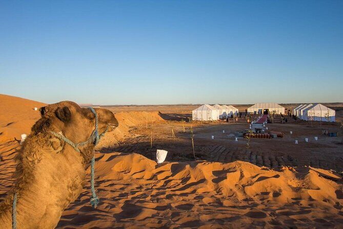 Private 5-Day Desert Tour from Casablanca to Sahara and Marrakech - The Itinerary Breakdown: What You Can Expect
