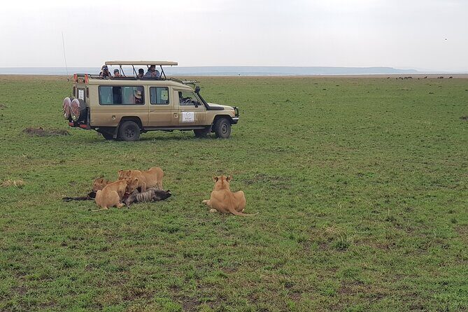 Private 5 Day Maasai Mara with Lake Nakuru and Lake Naivasha Tour - The Sum Up