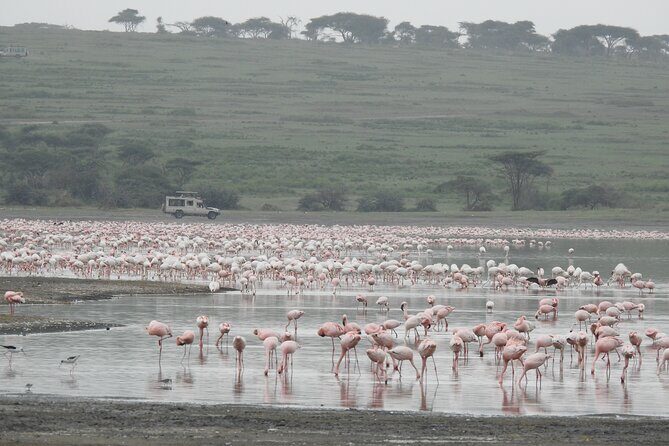 Private 5 Days Camping Tour in Serengeti National Park - The Itinerary Breakdown: What to Expect Each Day