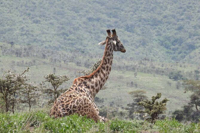 Private 5 Days Camping Tour in Serengeti National Park - Practical Considerations and Tips