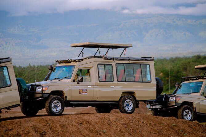 Private 5-Days Serengeti Trails with Kojuu Safaris - Who Will Love This Tour?