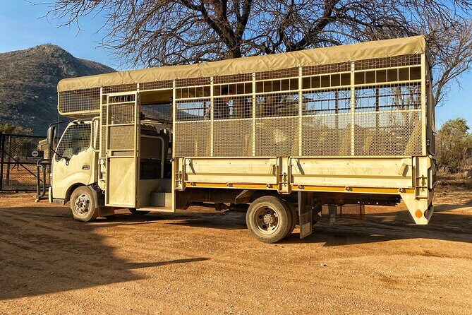 Private 5-Hour Lion Park Tour from Johannesburg or Pretoria - Key Points  
