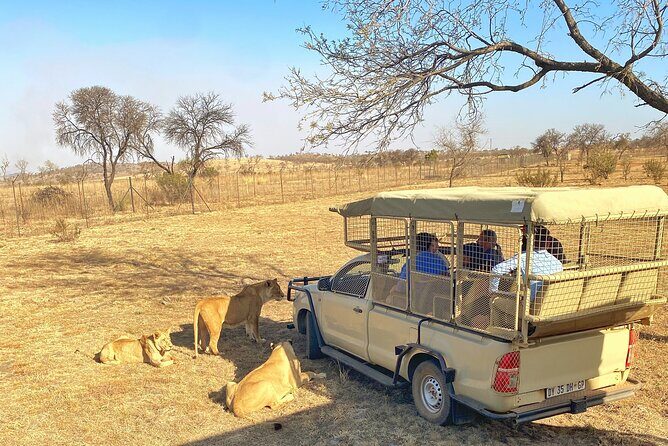 Private 5-Hour Lion Park Tour from Johannesburg or Pretoria - What Reviewers Say  