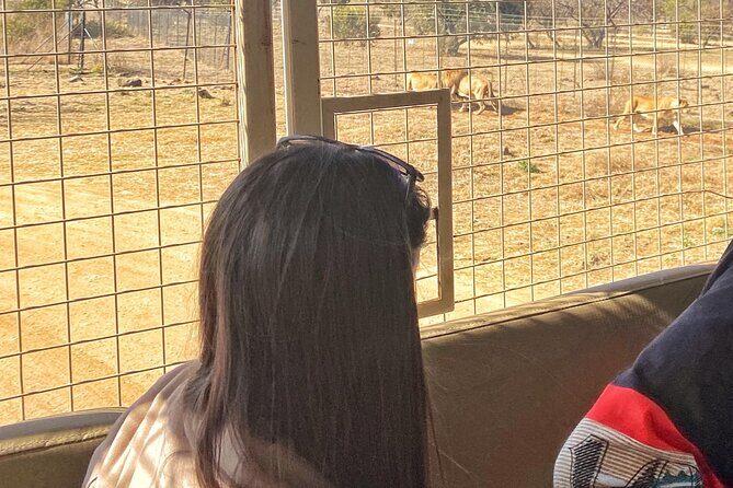 Private 5-Hour Lion Park Tour from Johannesburg or Pretoria - Additional Considerations  