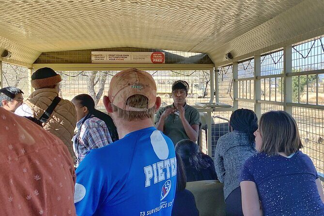 Private 5-Hour Lion Park Tour from Johannesburg or Pretoria - The Sum Up  