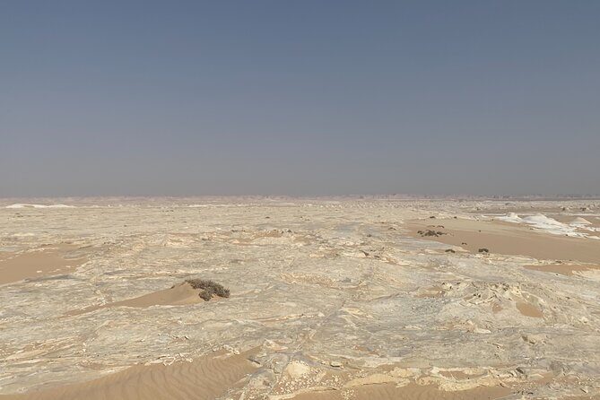 Private 5 Hours Safari by Quad Bike Hurghada + Camel ride - Who Is This Tour Perfect For?
