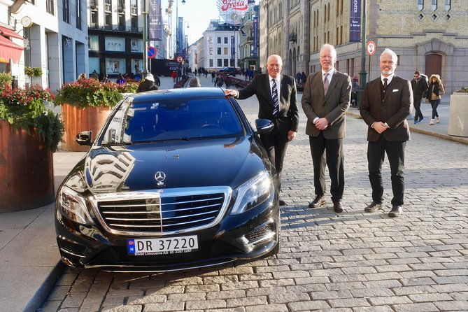 private-5-hrs-oslo-exclusive-driverguide-luxury-limo-van-tour-incl-museums
