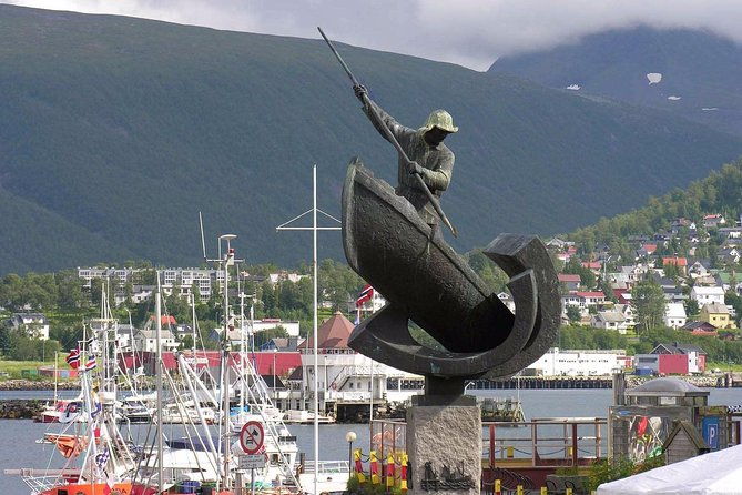 private-5-to-7-hours-northern-lights-tour-in-tromso-with-hotel-pick-up