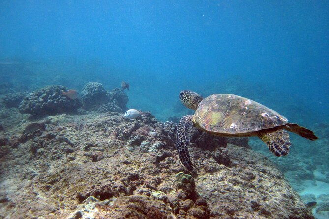private-5hrs-island-tour-with-2hrs-sail-and-snorkel-with-turtles