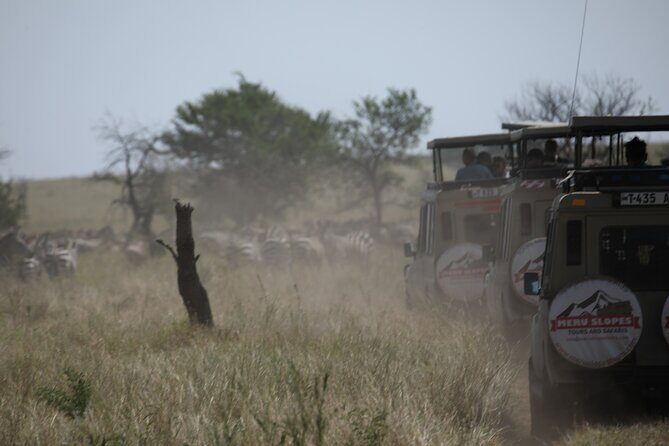 Private 6 Day Great Wildebeest Migration Ndutu Calving Season - Key Points
