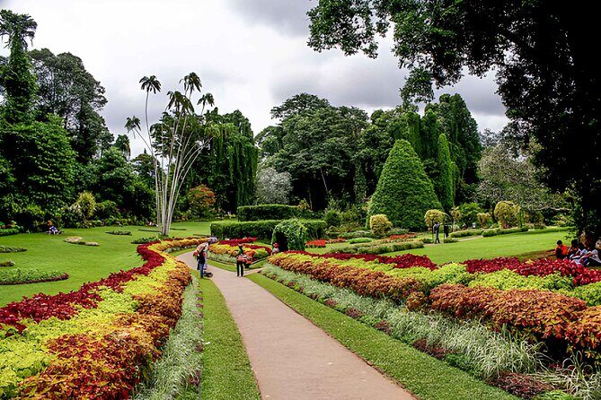 Private 6-Day Sri Lanka Cultural, Nature & Adventure Tour - The Sum Up