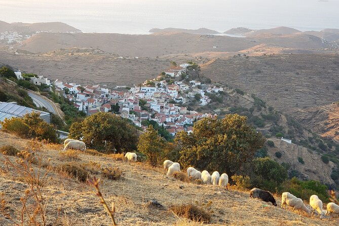 private-6-day-tour-discovering-greece-and-live-like-an-islander