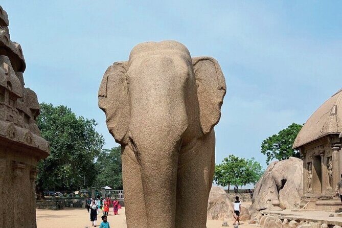 Private 6 days Exotic Tamilnadu Tour from Chennai - Who This Tour Is Best For