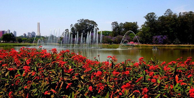 private-6-hour-city-tour-of-sao-paulo