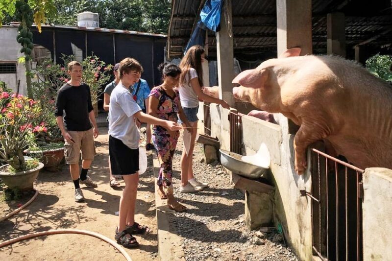 Private 6-Hour Cu Chi Ben Dinh Tunnels Tour - What to Expect from the Tour