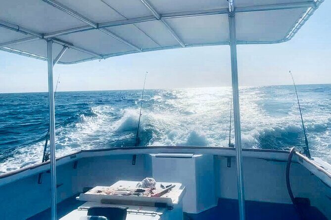 Private 6 Hour Deep Sea Fishing Trip In Panama City Beach - Who Should Consider This Trip?