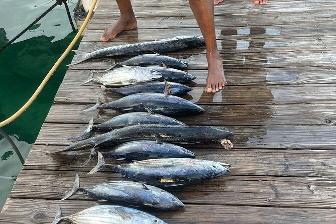 private-6-hour-fishing-charter-in-nassau