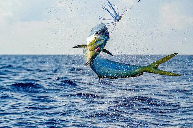 private-6-hour-fishing-charter-in-nassau