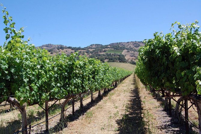 private-6-hour-napa-valley-wine-tour