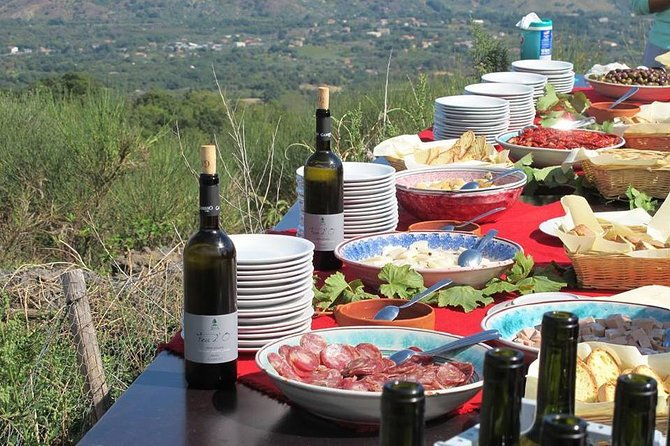 private-6-hour-tour-of-three-etna-wineries-with-foodwine-tasting