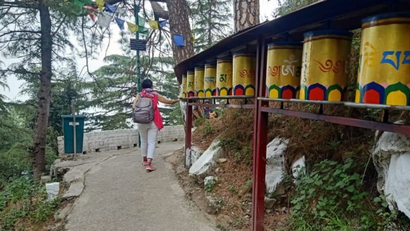 Private 6 hrs Mcleodganj & Dharamshala City Tour - Who Should Consider This Tour?