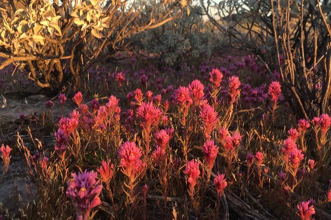 private-7-day-ecotour-grand-canyon-lk-powell-zion-canyonlands