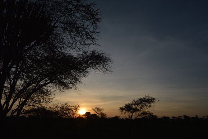 Private 7-Day Tanzania Camping Safari - FAQ