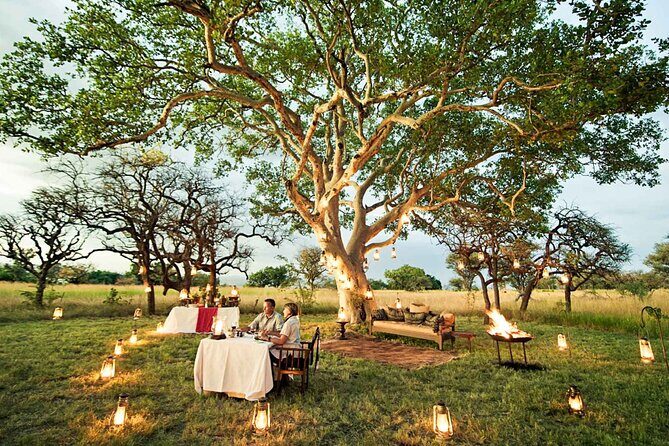 Private 7 Days Classic Safari Tour in Tanzania - Analyzing the 7-Day Itinerary