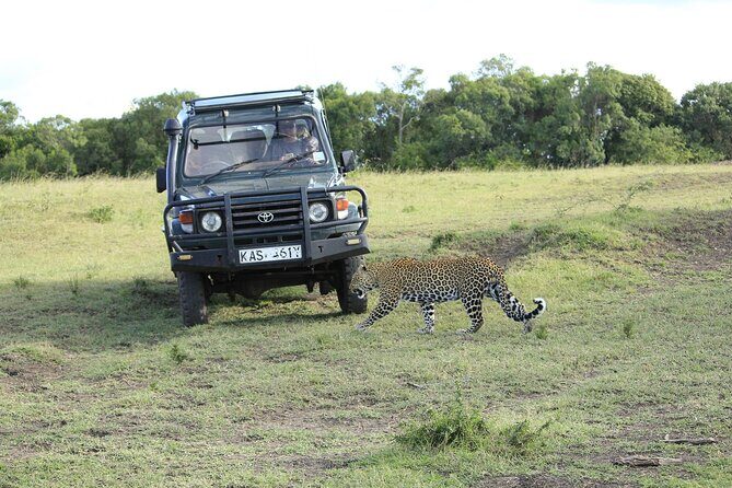 Private 7 Days Kenya Safari Amboseli, Naivasha, Nakuru, Mara - FAQ